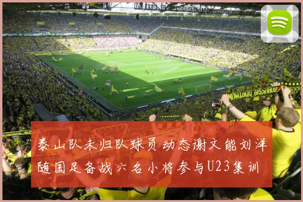 泰山队未归队球员动态谢文能刘洋随国足备战六名小将参与U23集训